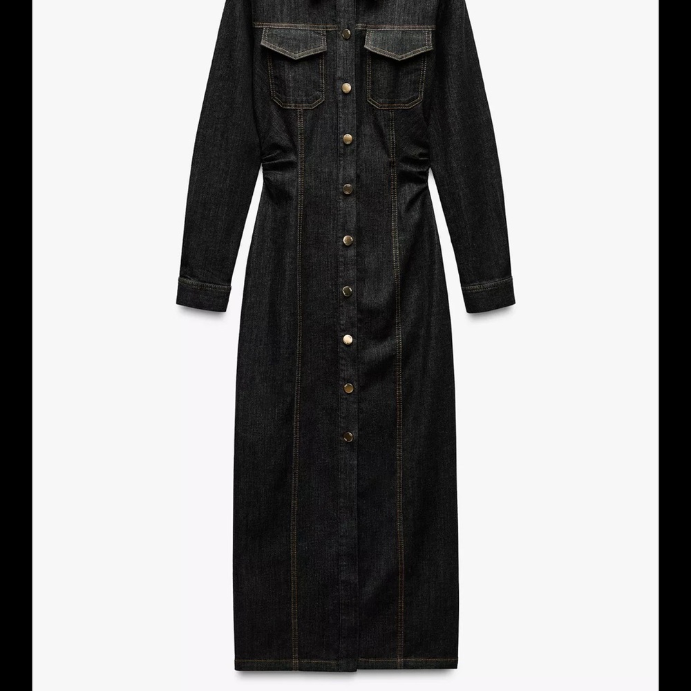 Zara Dark Denim Button-Down Dress